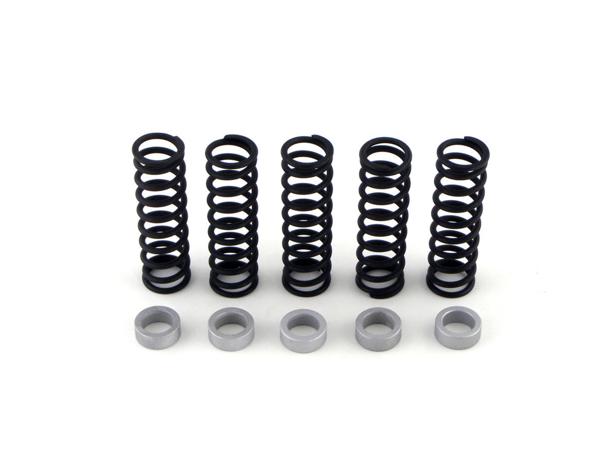 Clutch Spring Kit w/ .280 Thick Spacer ZX - 14 (06 - 11)