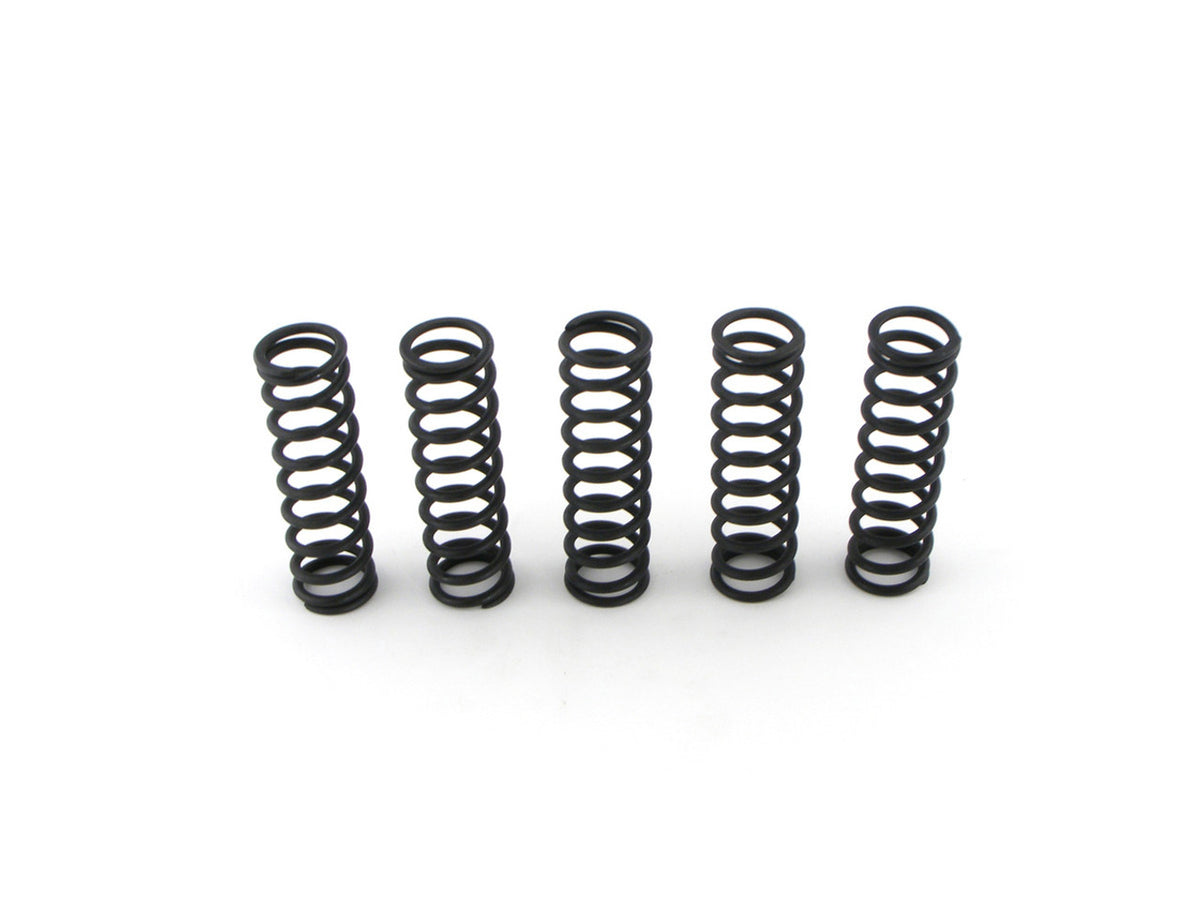 Heavy Duty Clutch Spring Kit ZX - 14 (06 - 11)