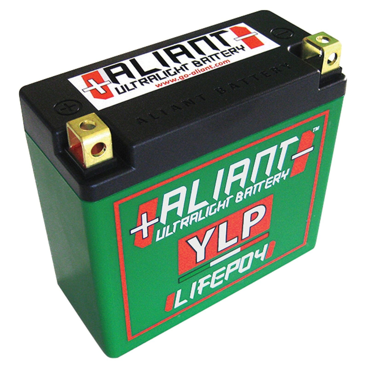 (Aliant) YLP24 24.0 AH ALICHEM Lifepo4 Battery