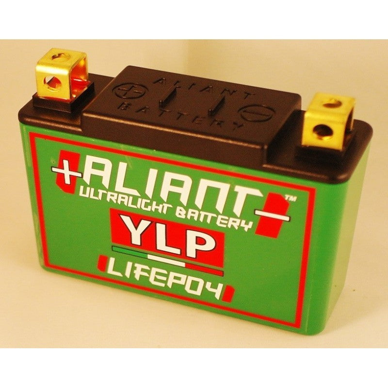 (Aliant) YLP05B 5.0 AH ALICHEM Lifepo4 Battery