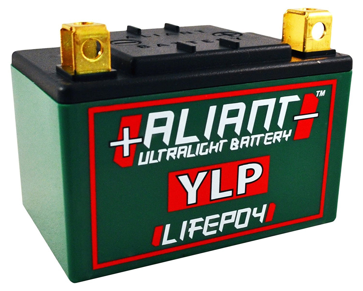 (Aliant) YLP05 5.0 AH ALICHEM Lifepo4 Battery