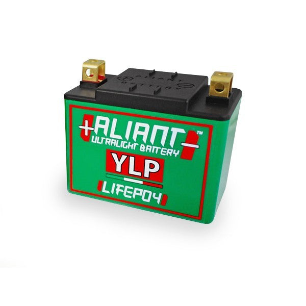 (Aliant) YLP10 10.0 AH ALICHEM Lifepo4 Battery